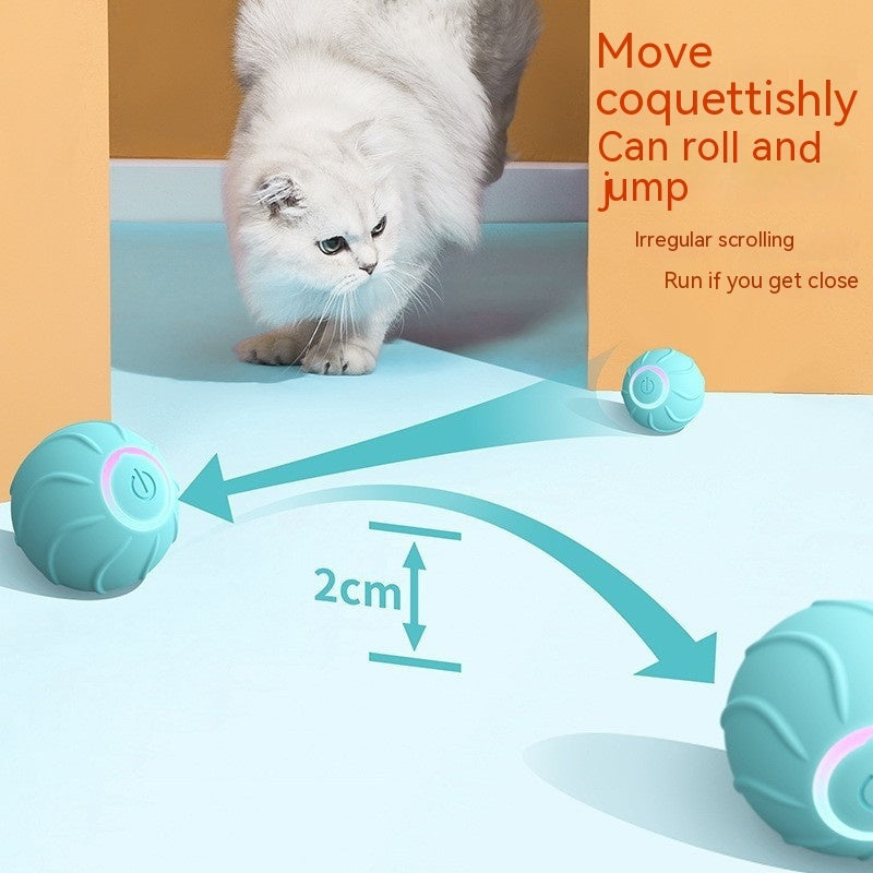 LuckyPaws - Intelligentes Katzenspielzeug