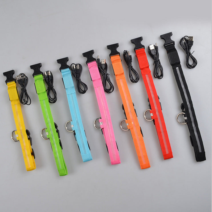 LuckyPaws - LED Halsband