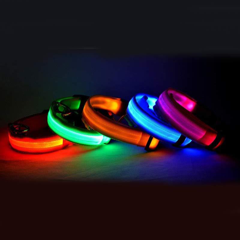 LuckyPaws - LED Halsband