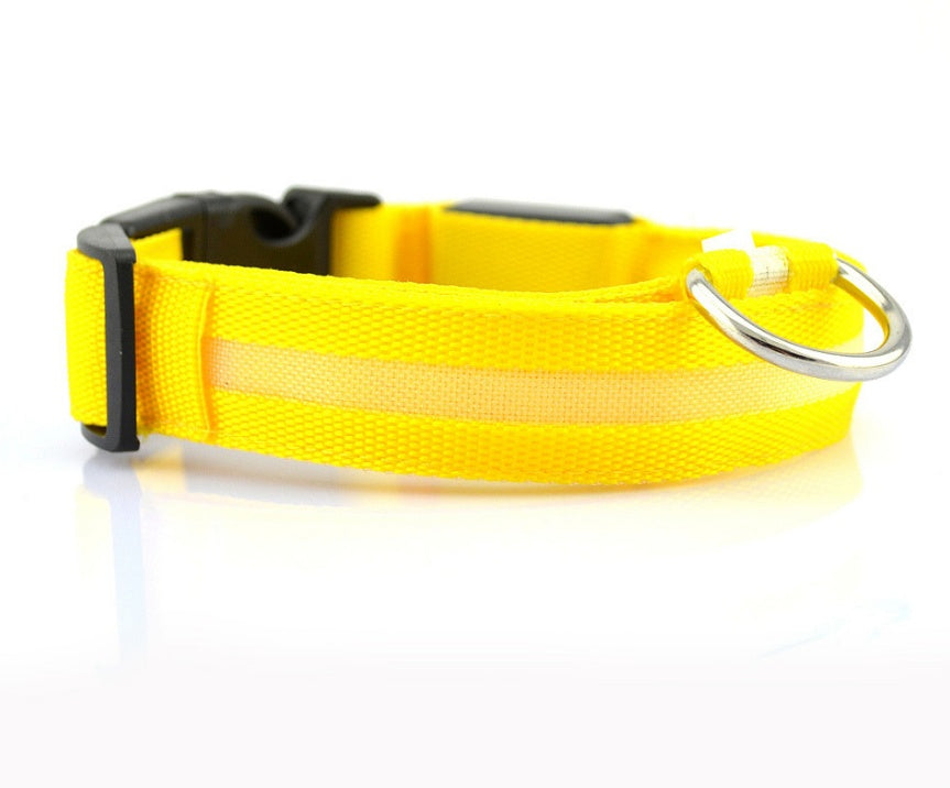 LuckyPaws - LED Halsband