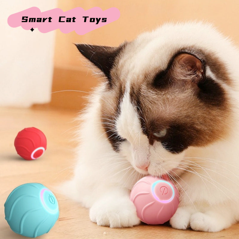 LuckyPaws - Intelligentes Katzenspielzeug