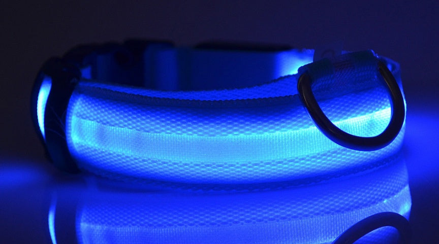 LuckyPaws - LED Halsband