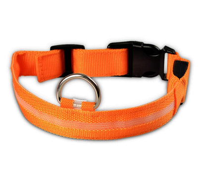 LuckyPaws - LED Halsband