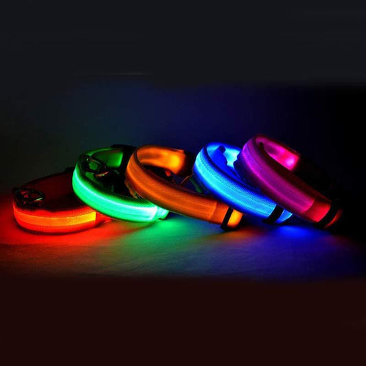 LuckyPaws - LED Halsband