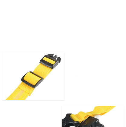 LuckyPaws - LED Halsband